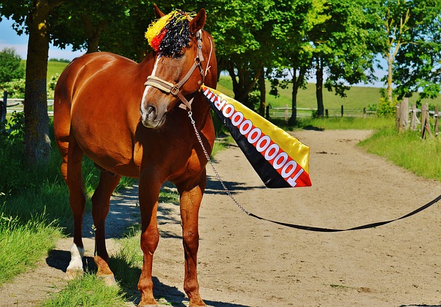 一直存在问 一直存在问