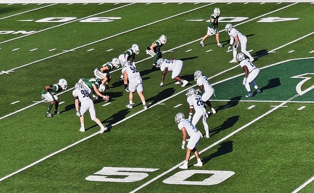 素质和坚韧 素质和坚韧