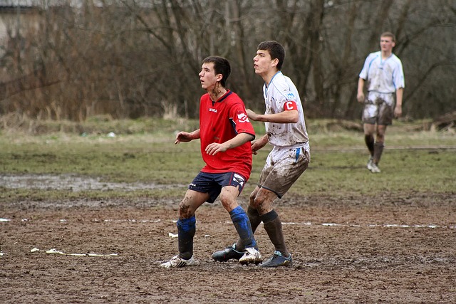 逆转惊魂！国王惨遭翻盘，西部排名告急.