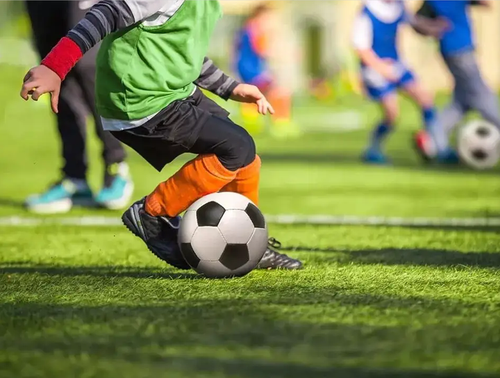 艺术还是科 艺术还是科