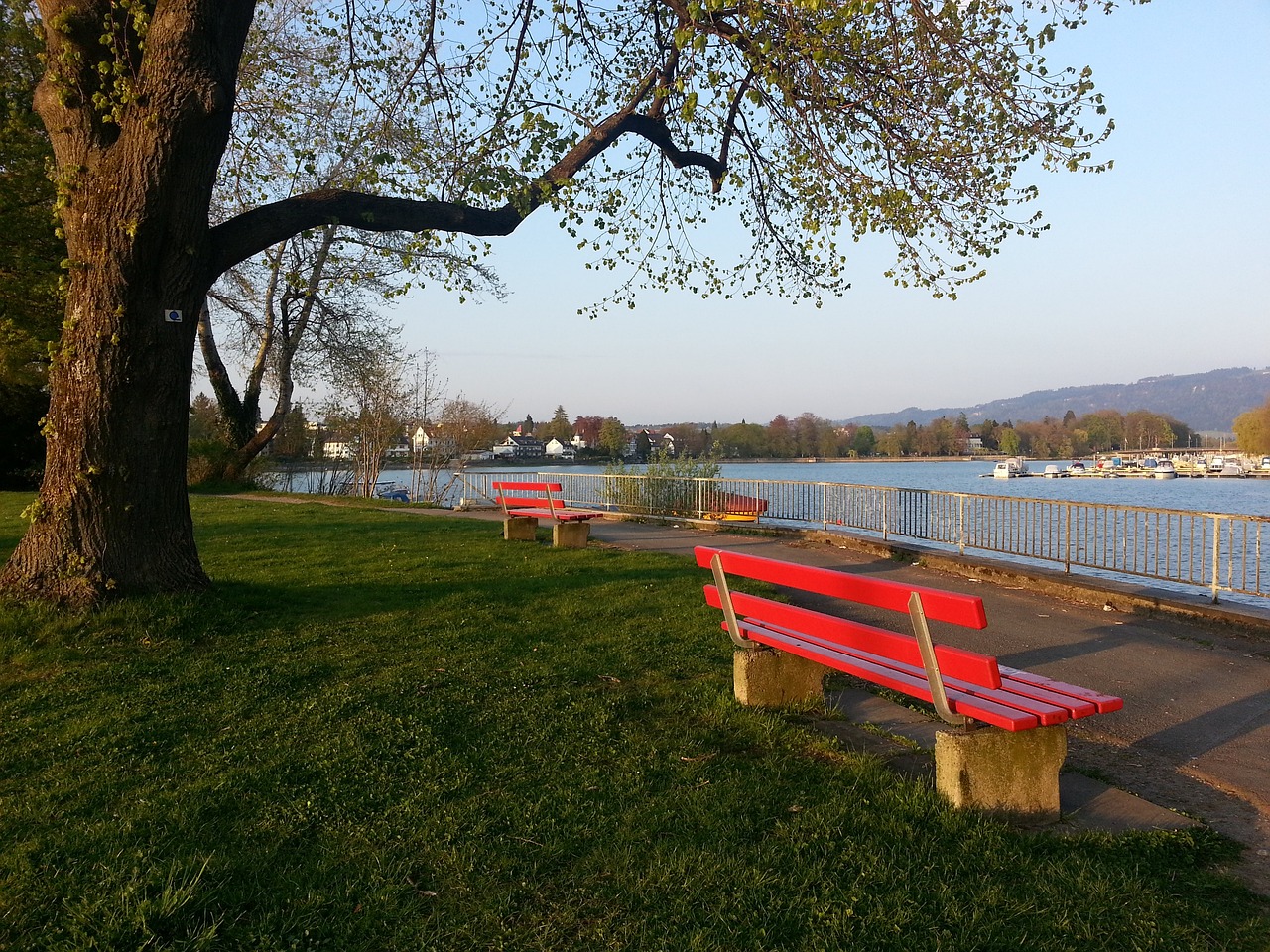 为球迷带来 为球迷带来