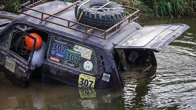 进行了针对 进行了针对