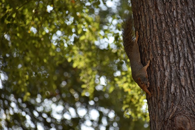 赛选手上了 赛选手上了