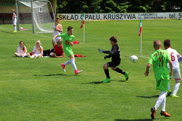 实打实地展 实打实地展